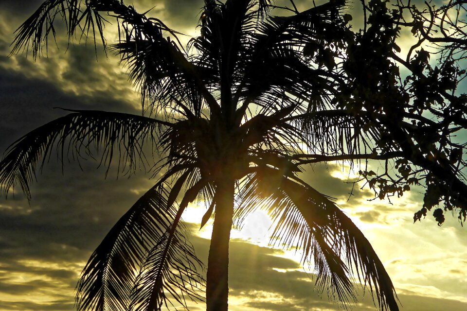 Backlighting caribbean landscape