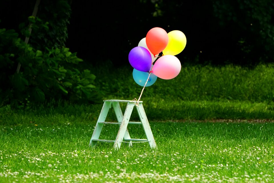 Balloon meadow pleasure