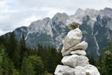 Slovenia julian alps stones photo