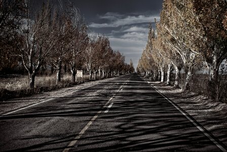 Travel landscape road