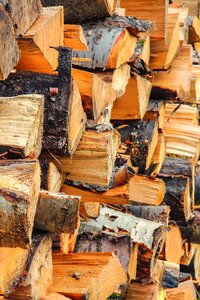 Wood for the fireplace dry piled up photo