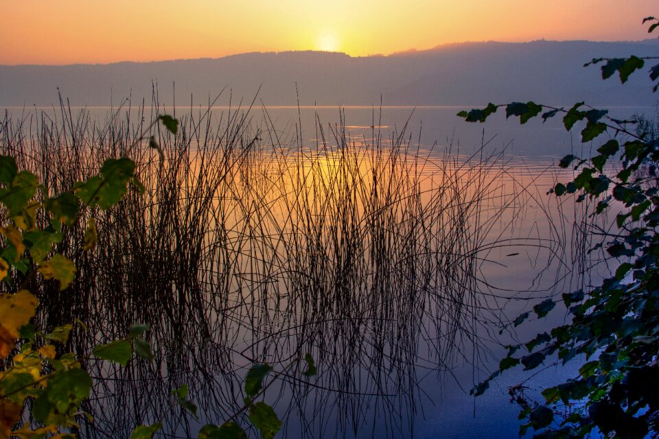Rhineland palatinate reflection waters