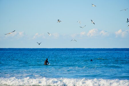 Ocean aquatic action photo