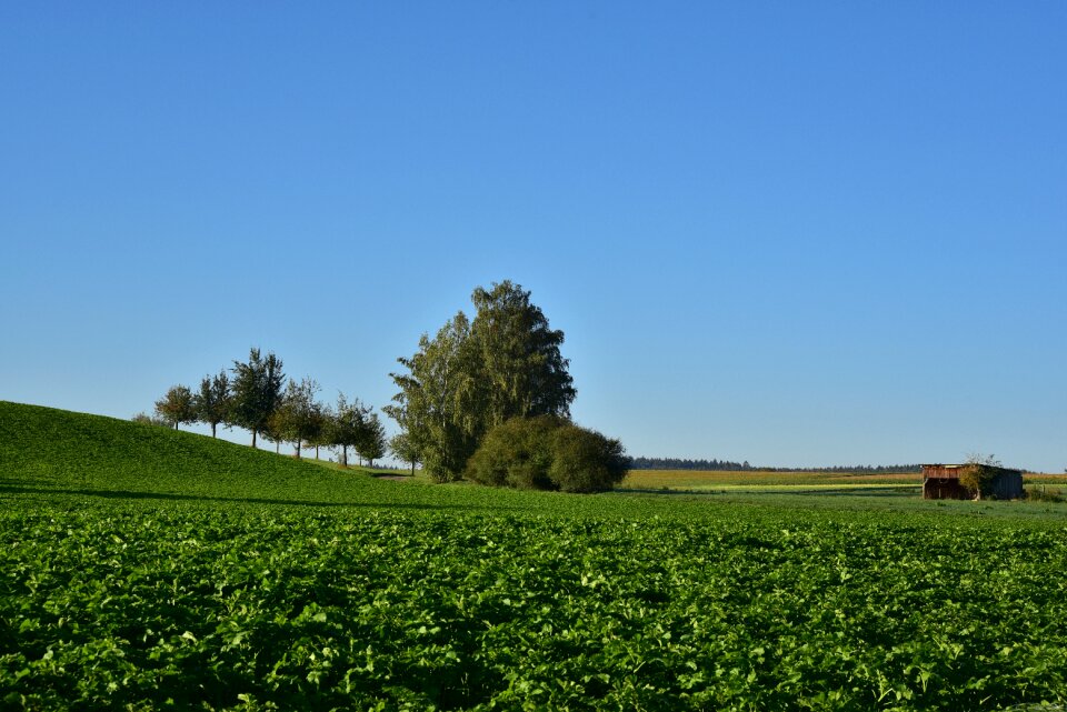 Sky hill summer