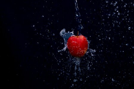 Fresh healthy food