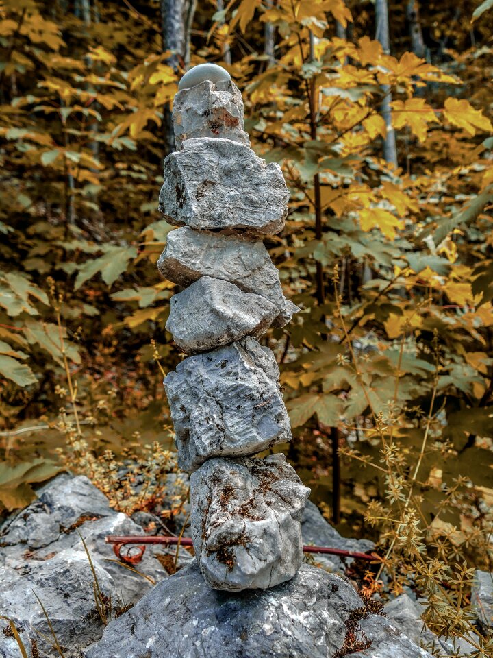 Build forest automnes