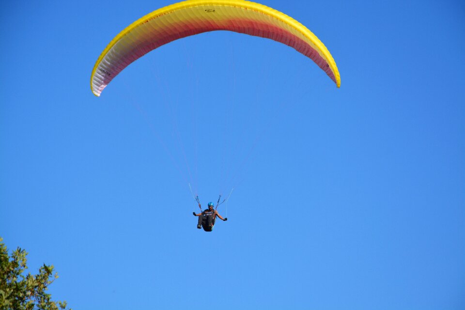 Fly free flight sport