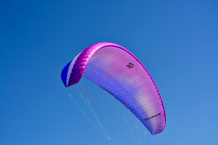 Flow blue-mauve aircraft fly