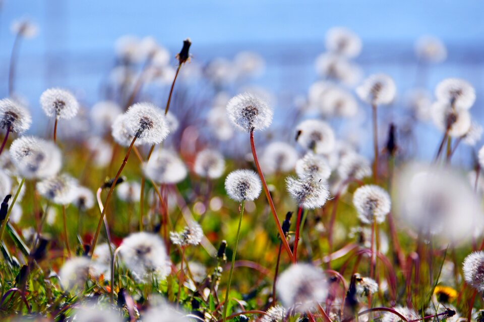 Autumn autumn mood fluffy