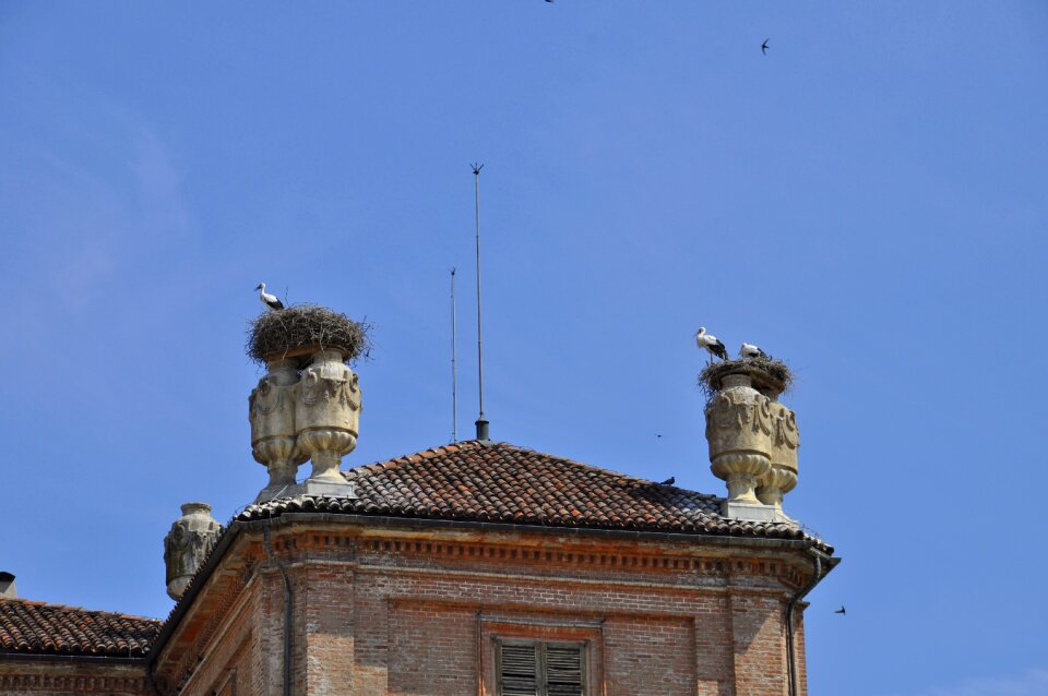 Castle animal couple