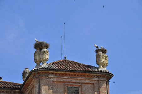 Castle animal couple