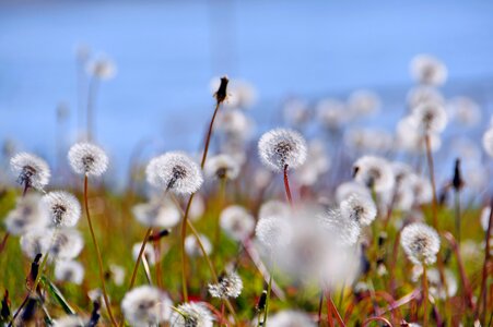 Autumn autumn mood fluffy