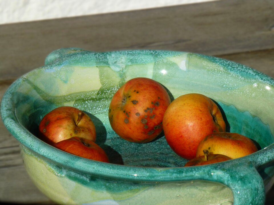 Fruit shell ceramic