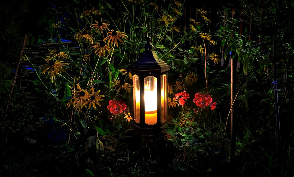 Garden the backlight light