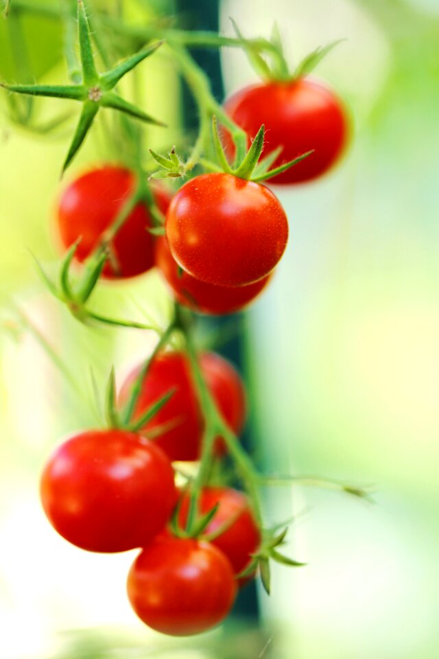 Healthy health juicy
