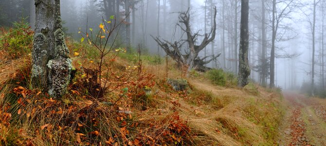 The stones the fog mountains