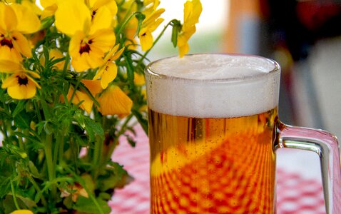 Beer garden refreshment thirst
