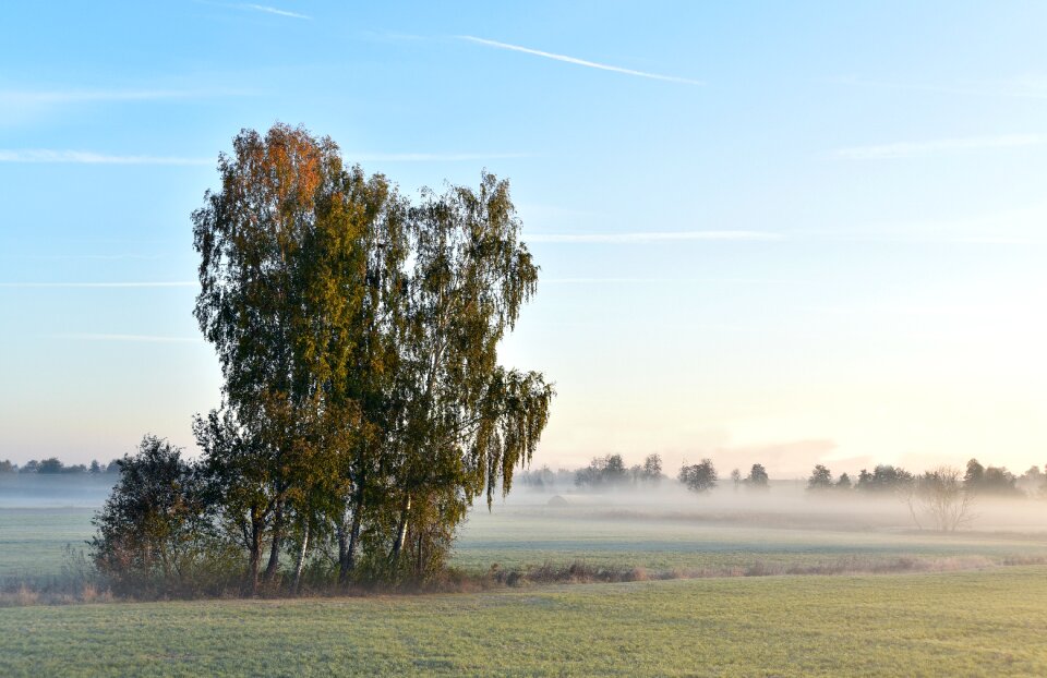 Landscape nature autumn