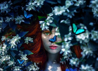 Blu night flower