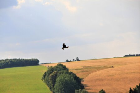 Highlands saxony nature