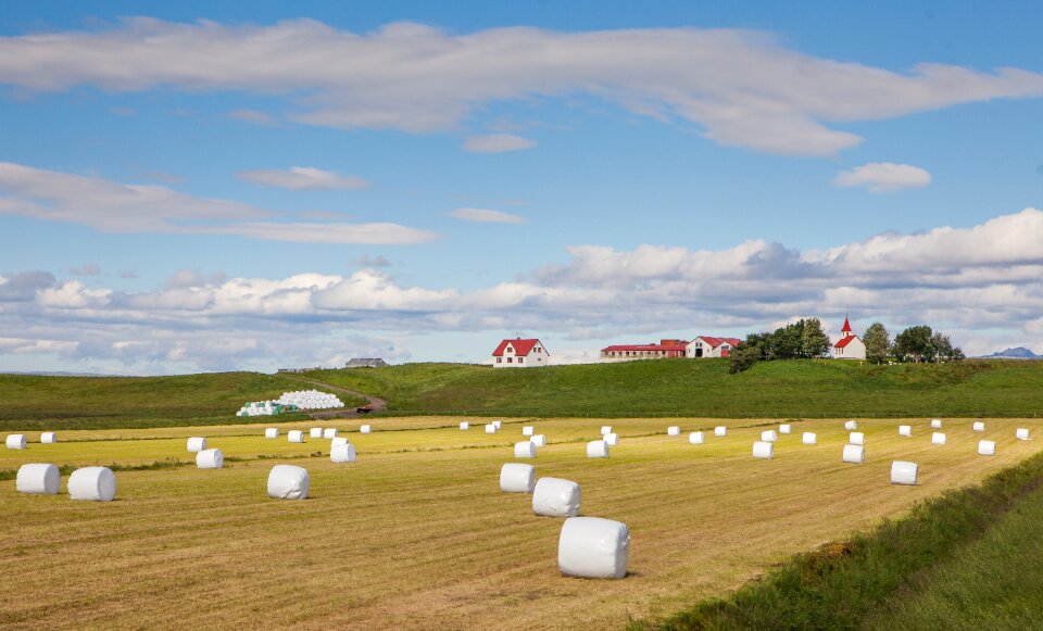 Cottage economy field