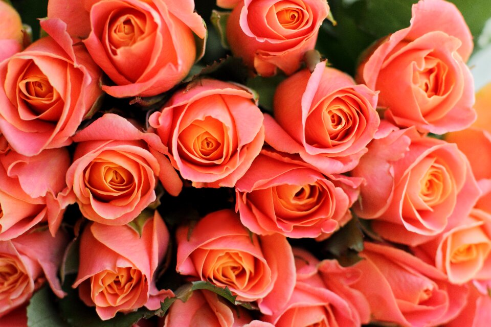 Coral date display