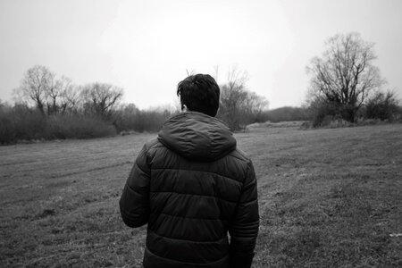 Forest field alone