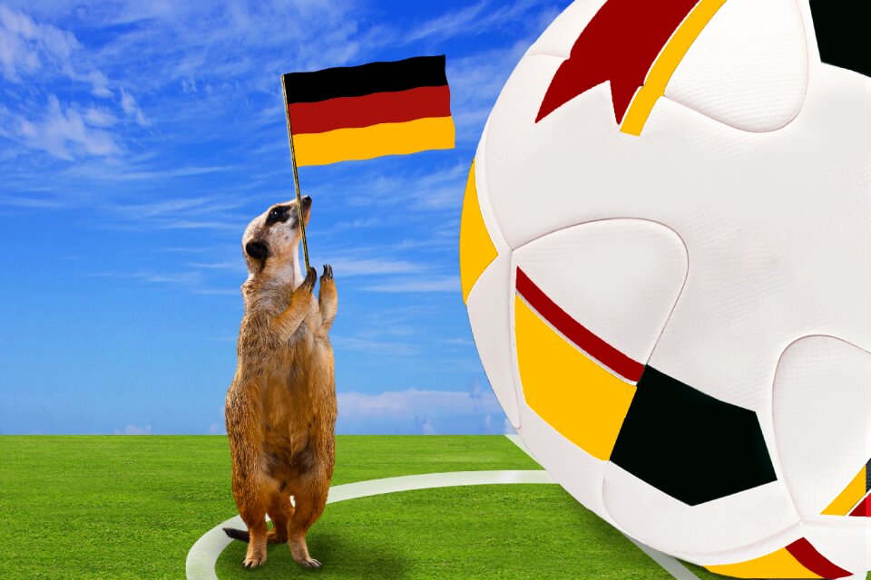 World cup 2018 ball football pitch