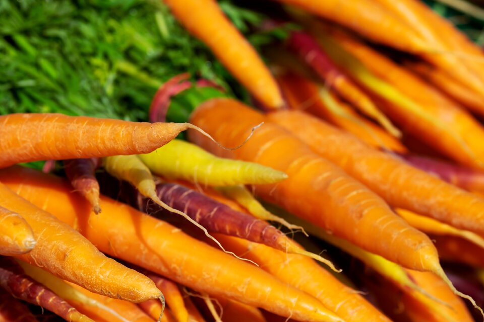 Vegetables food plant