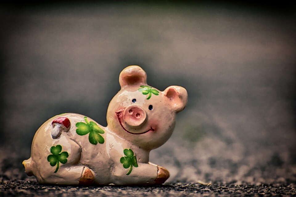 Cute lucky charm sow