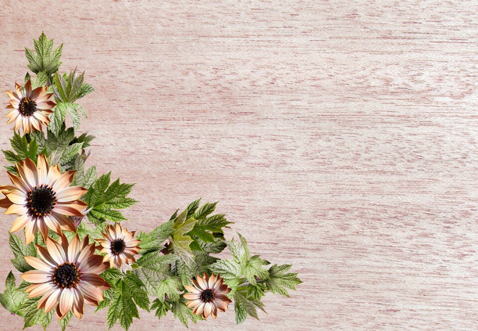 Daisies decorative wood grain