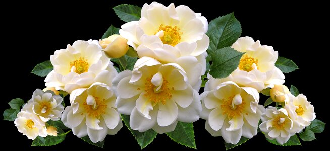 Arrangement nature romantic