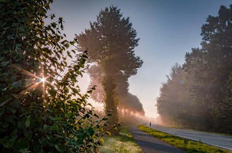 Sunbeam color road