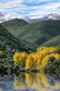 Landscape forest colorful photo
