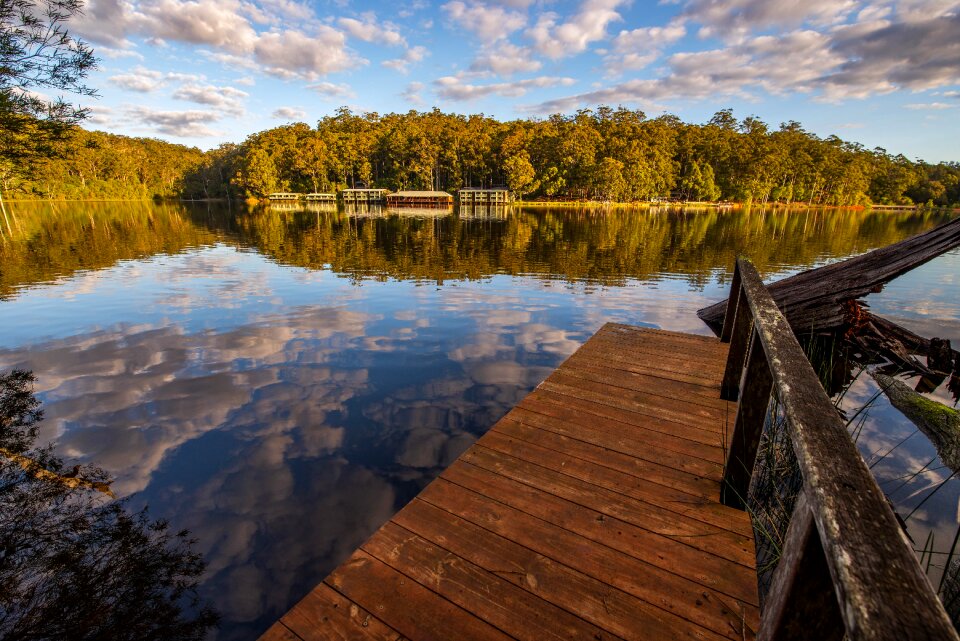 Lake trees water