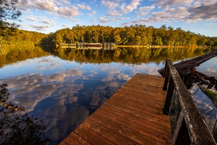 Lake trees water