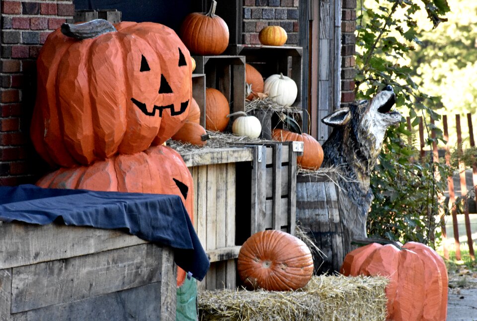 Pumpkin autumn october