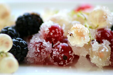 White blackberries sugar photo