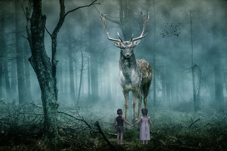 Forest children fog