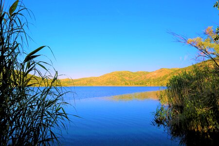 Rural water forest photo