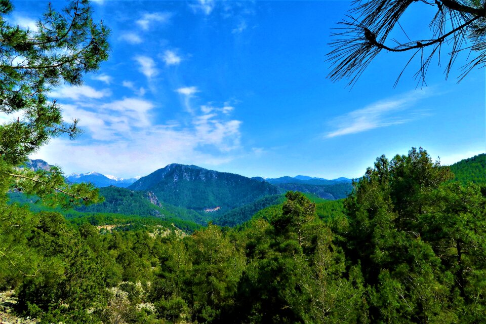 Rural clouds forest photo