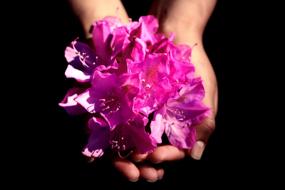 Love floral summer