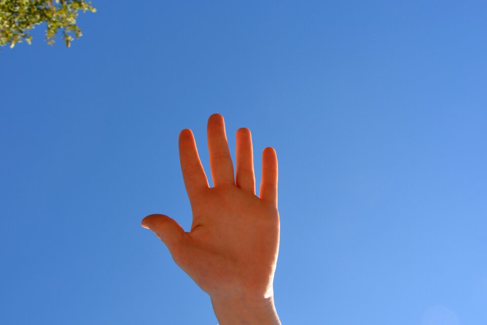 Falenge articulation female hand