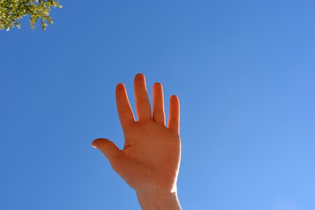 Falenge articulation female hand