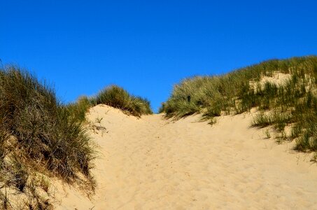 Dune landscape red cliff dunes photo