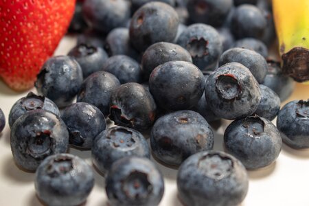 Strawberries fruit gray fruits
