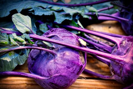 Kohl fresh food