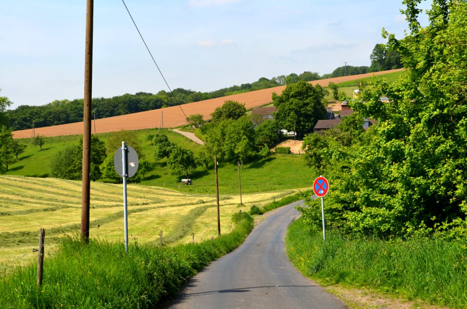 Landscape nature idyllic