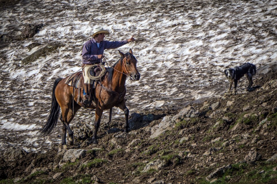Horse rider country
