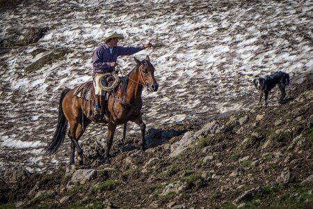 Horse rider country photo